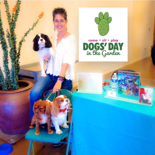 Happy, Lady & Lucy enjoying the DBG's Dogs Day as they sign their latest book, 'It's a King's Life: Holiday Edition."